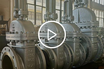 Корпоративное видео